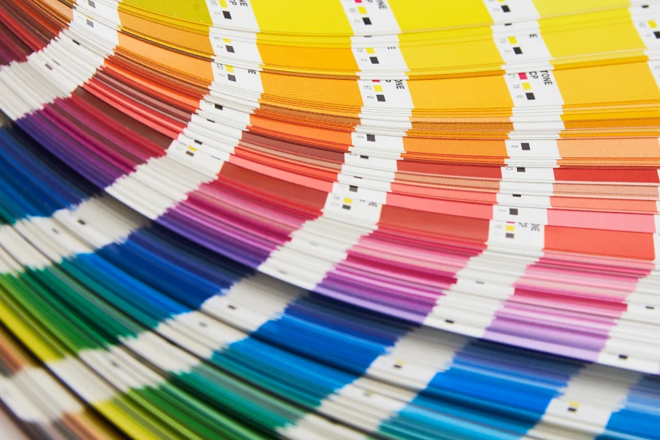 Colour swatches fanned out for brand and creative design work